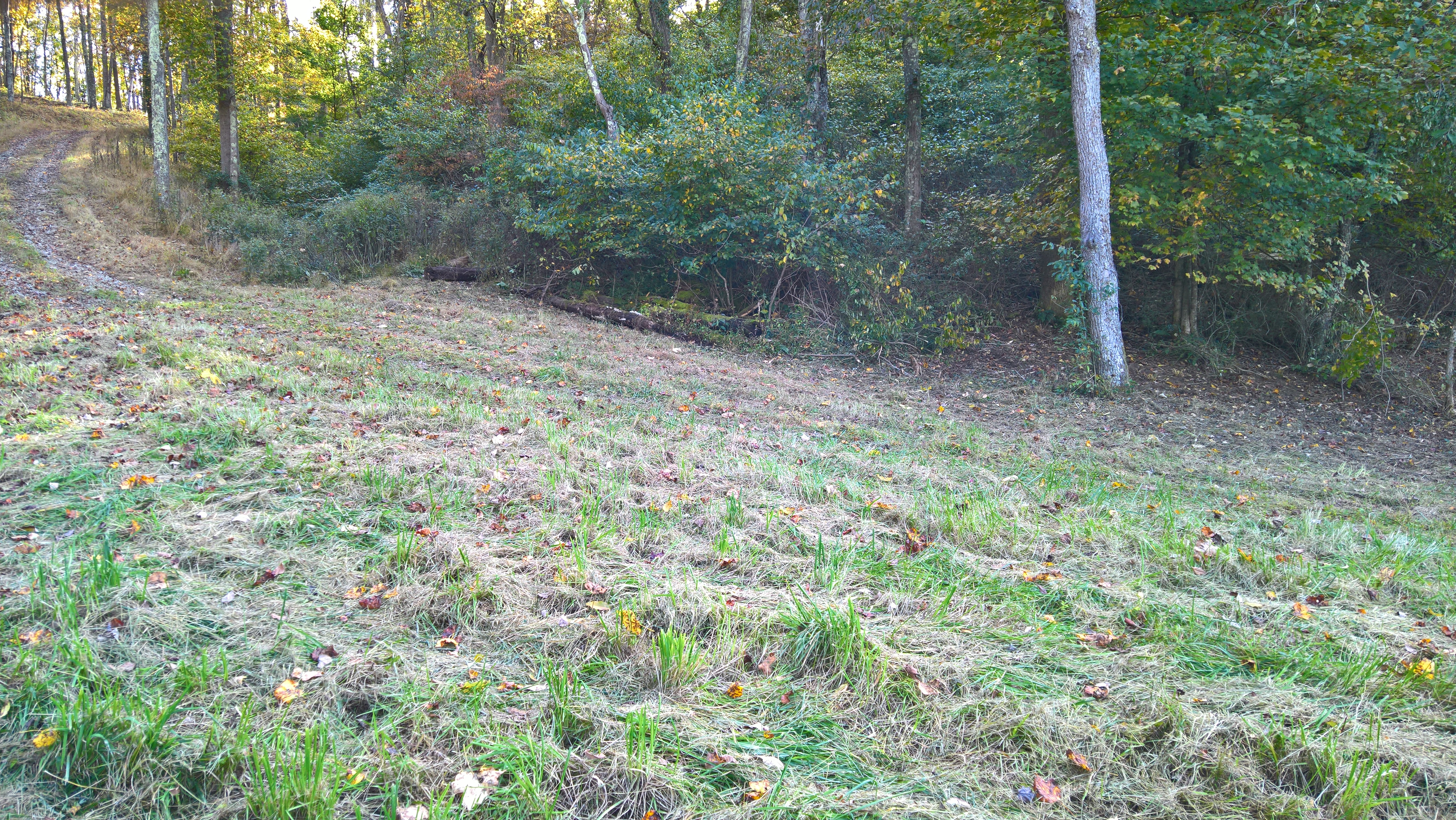 Upper%20Section%20East%20Field%20(9).jpg