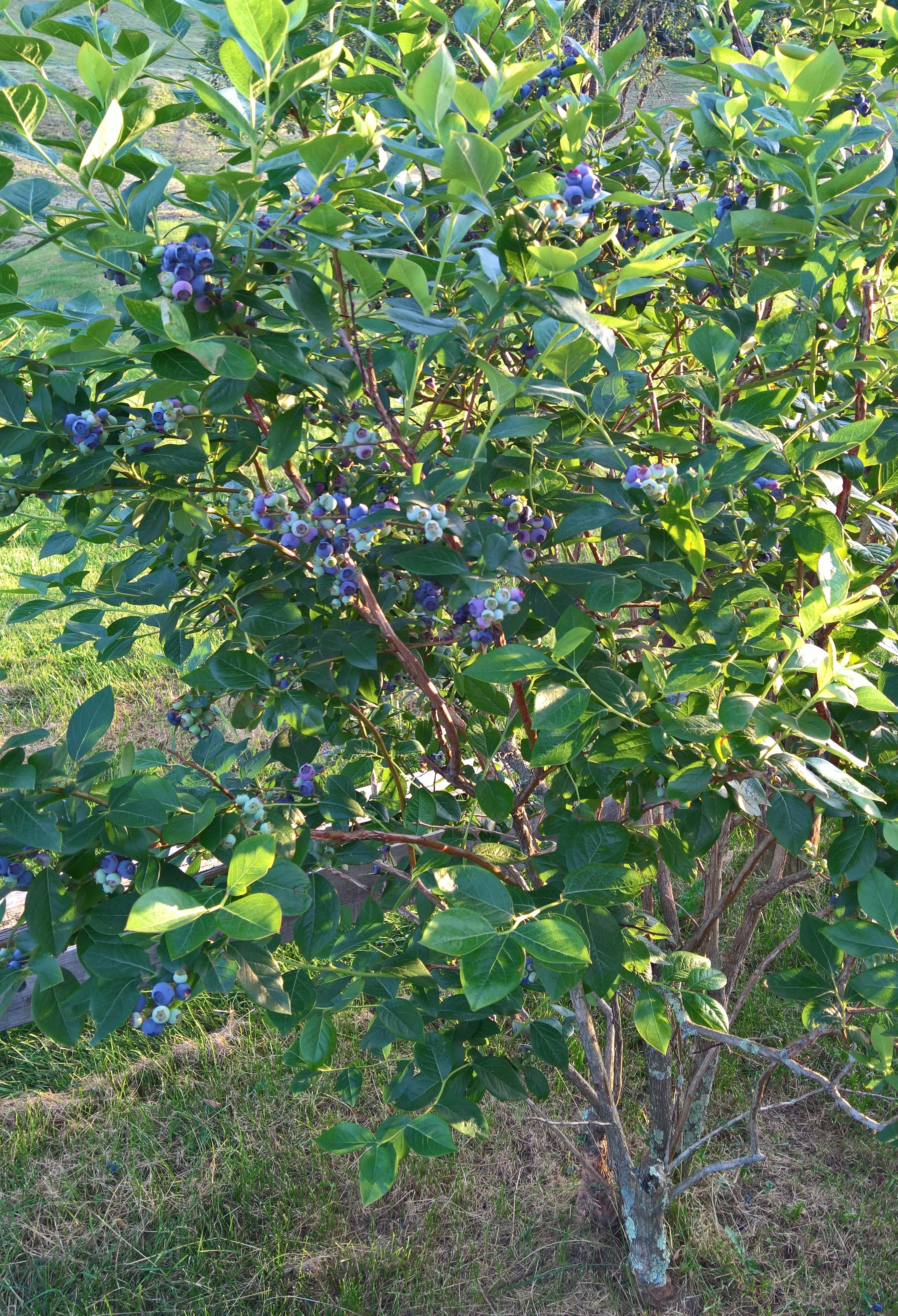 WP_20170604_20_02_54_Pro.jpg